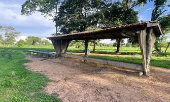 Imagem 3: 237 alqueires em Nova Crixás-Go