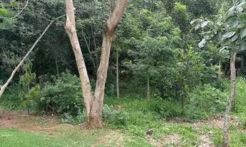 Imagem 4: Terreno à venda, 493 m² - Condominio Panini - Jaguariúna/SP