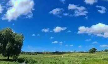 Imagem 7: Fazenda em Araruama com 52 Alqueires - São Vicente de Paula - Araruama - RJ