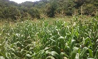 Imagem 3: Area a venda em Campo Magro - PR