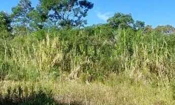 Imagem: Terreno bairro Morro Bock, Picada Café.RS