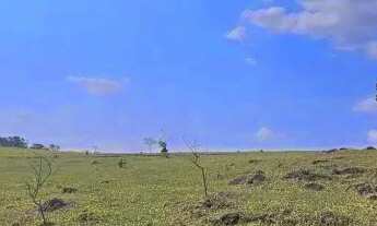 Imagem 7: FAZENDA - PARQUE VALINHOS - SP