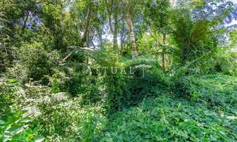 Imagem 6: TERRENO AMPLO NO ALPES VERDES