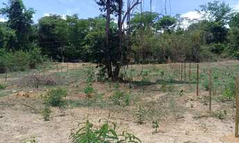 Imagem 3: Chácara Campos dourado