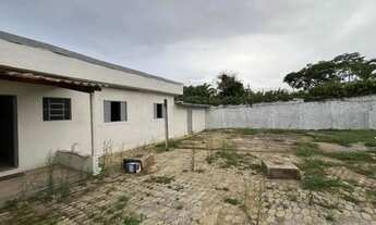 Imagem: Barracão para aluguel - Palmeiras, 2 quartos