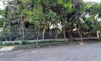 Imagem 3: Terreno na Vila Ida /Alto da Lapa 850m²