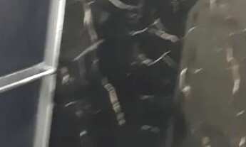 Imagem 6: Alugo apartamento no Pontalzinho