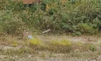 Imagem 3: Terreno em Vila Pirituba, São Paulo/SP