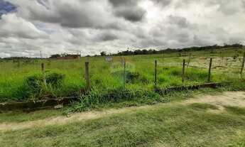 Imagem: Lotes à Venda no Mutirão Aramari/BA