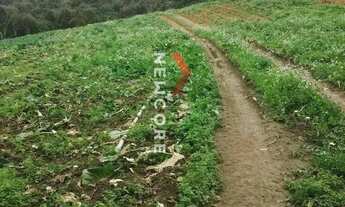 Imagem 4: Chácara em Rua Campestre - Colônia Murici - São José dos Pinhais/PR
