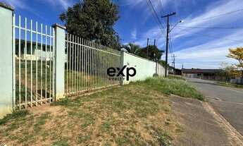 Imagem 2: Terreno à Venda em Campo Largo - Grande Potencial Construtivo