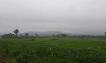 Imagem 3: Fazenda com 194 hectares nas margens da BR 040