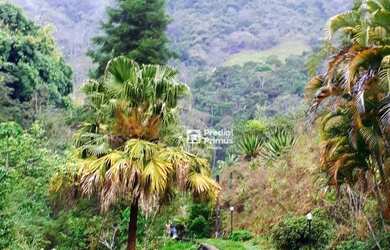 Imagem 3: Chácara à venda, 93245 m² por R$ 899.000,00 - Riograndina - Nova Friburgo/RJ