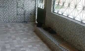 Imagem: Aluga-se Casa na ilha para nos dias de Carnaval