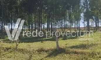 Imagem 7: Terreno - Bonfim - Paulínia