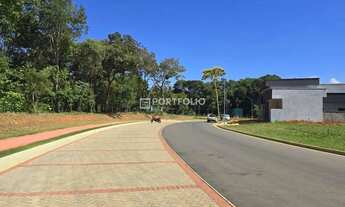 Imagem 4: Terreno à venda, 506 m² por R$ 1.280.000,00 - Jardins França - Goiânia/GO