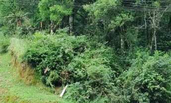 Imagem 6: Terreno - Bairro Moura