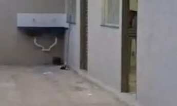 Imagem 3: Casa Casa com 4 dormitórios