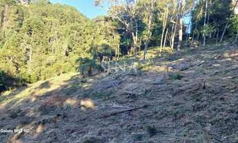 Imagem 3: Terreno / Venda Terreno / lote com venda por R$350.000