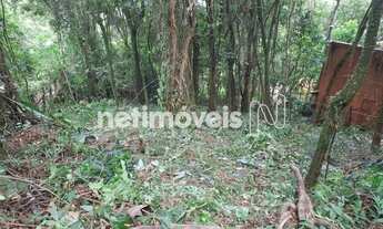 Imagem 4: Procimo a capital um refugio de paz