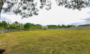 Imagem 5: Imóvel para venda com 3905 metros quadrados em Jardim Creplive - Quatro Barras - PR