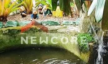 Imagem 4: Sítio em AVENIDA DO CARECA - Cidade Jardim - Esmeraldas/MG