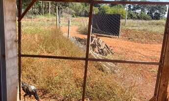 Imagem 6: Chácara 5 mil metros Caturaí - Go