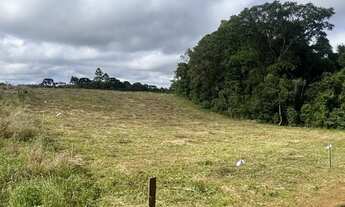 Imagem 5: Terreno em São Jose dos Pinhais