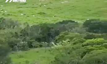 Imagem: Vende-se excelente Fazenda no município