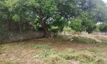 Imagem 6: VENDO 02 LOTES VIZINHOS DE 10 x 28M NO MOSQUEIRO - A 300 METROS DA ORLA PÔR DO SOL