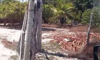 Imagem 2: Terreno fortin Terreno / lote com venda por R$65.000