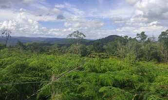 Imagem 6: Chácara 20.000 m² em Campo Largo