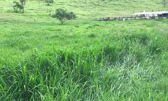 Imagem: Fazenda para Venda em Ibicaraí, Zona Rural