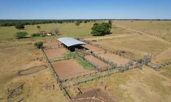 Imagem: VENDO EXCELENTE FAZENDA NA REGIÃO DE JUSSARA