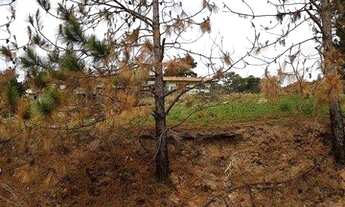 Imagem 2: Terreno à venda, 1050 m² por R$ 75.000,00 - Vitória Régia - Atibaia/SP