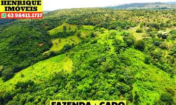 Imagem 4: Fazenda 216 hectares em Luzimangues