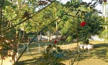 Imagem 4: Chácara - Residencial Recanto das Palmeiras - Artur Nogueira