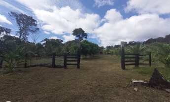 Imagem 5: Valor Sítio BR 174 km 202 ramal do Robertinho