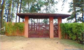 Imagem: SÍTIO - LOTEAMENTO LOANDA - SP