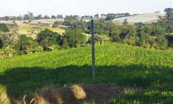 Imagem 7: Vendo terreno de 500m com vista para vinicola