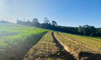 Imagem 6: Terrenos Planos e Limpos Para Sua Casa de Campo em Ibiúna