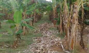 Imagem 2: Sítio zona rural de Poconé