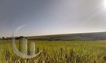 Imagem 6: Fazenda para Venda em Ipeúna, zona rural, 2 dormitórios, 2 banheiros