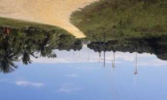 Imagem: Terreno em flecheiras, vendemos completo