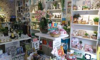 Imagem 3: Loja de Presentes e Decoração à Venda em Curitiba no Bairro Água Verde Cod PT0870/N