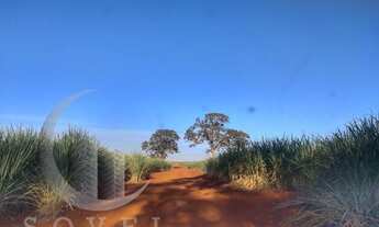 Imagem 2: Fazenda para Venda em Ipeúna, zona rural, 2 dormitórios, 2 banheiros
