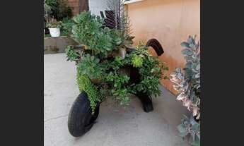 Imagem 3: Belo Sítio(chácara) e bem localizado. 1100 m² (424 m² de área construída)Registrado