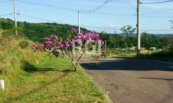 Imagem 6: Terreno em Vila Nova