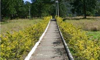 Imagem 3: TERRENO - LAGOA DA CONCEIÇÃO - SC