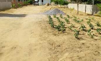 Imagem 6: Chácara carrapichel